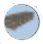 Ibeams Icon.png