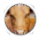 Cattle Icon.png
