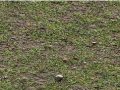 Thumbnail for version as of 10:26, 13 June 2025