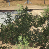 PBR-JellyGutsFix.png
