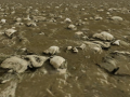 Thumbnail for version as of 10:25, 13 June 2025